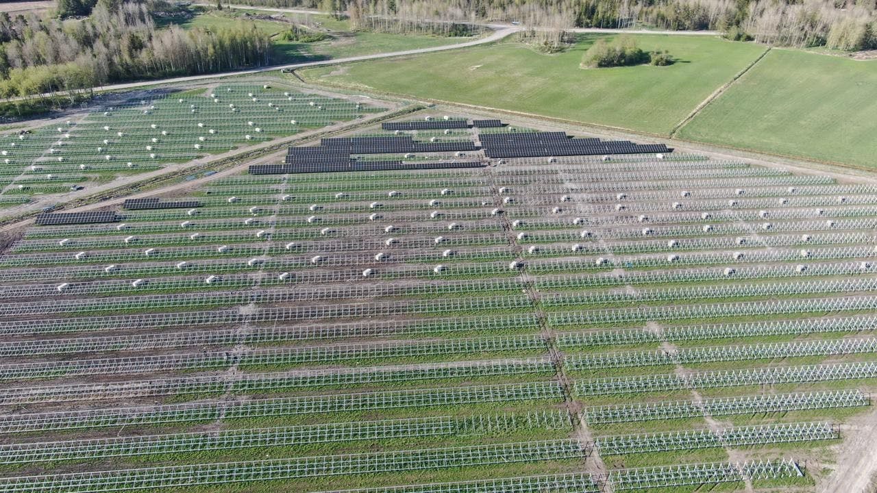 Greenbuddies staví obří solární elektrárnu o výkonu 64 MW ve Švédsku