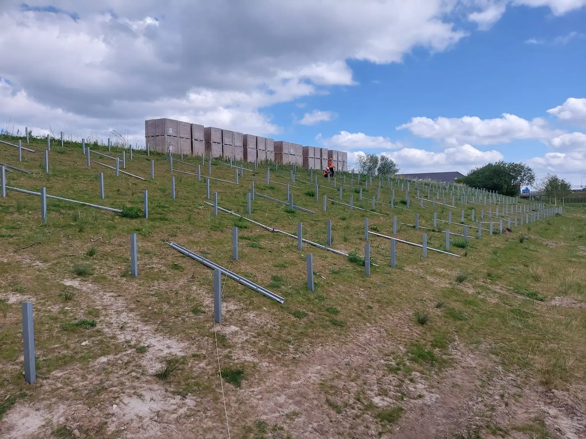 Ikaros Solar - a new customer of Greenbuddies